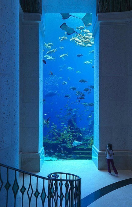 迪拜的海底世界